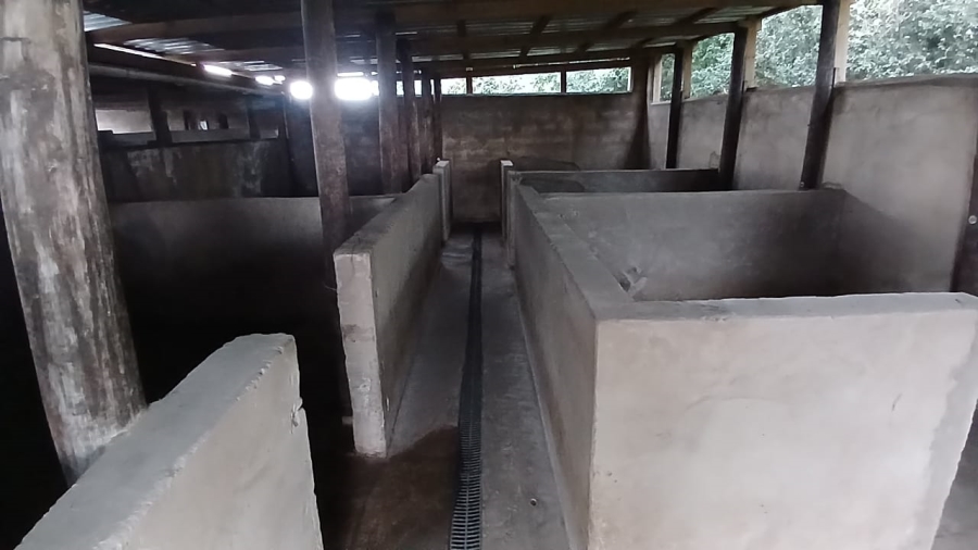 Commercial Property for Sale in Bathurst Rural Eastern Cape